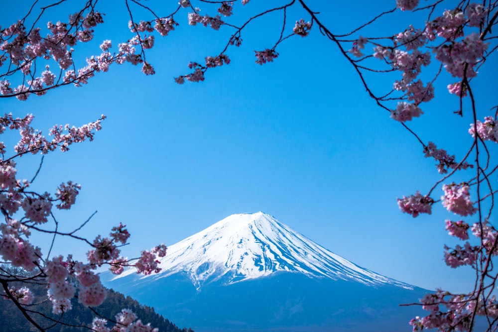 A view of Mount Fuji in spring 