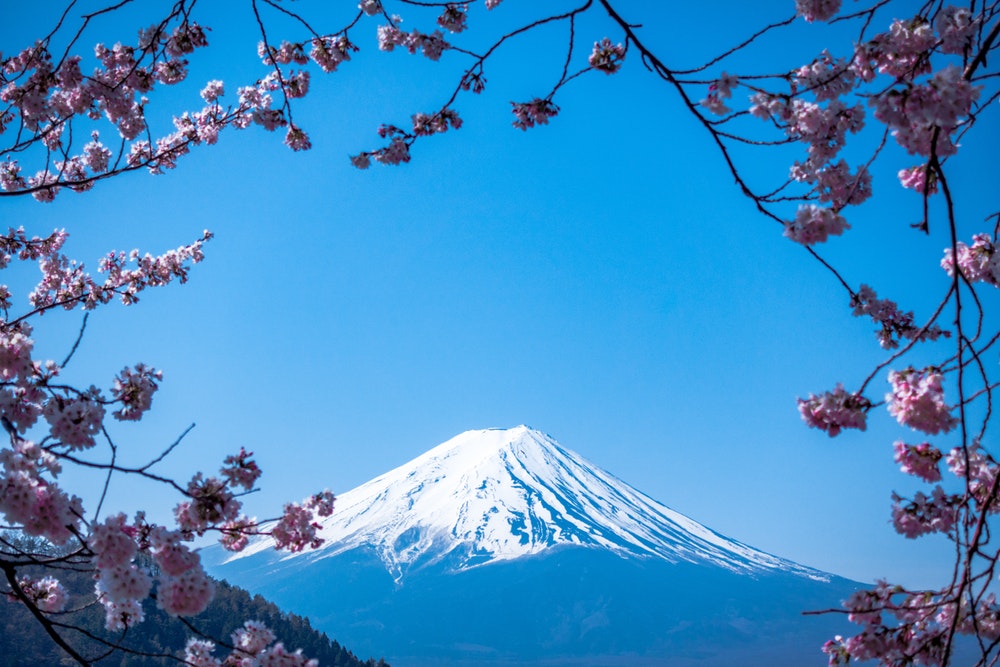A view of Mount Fuji in spring