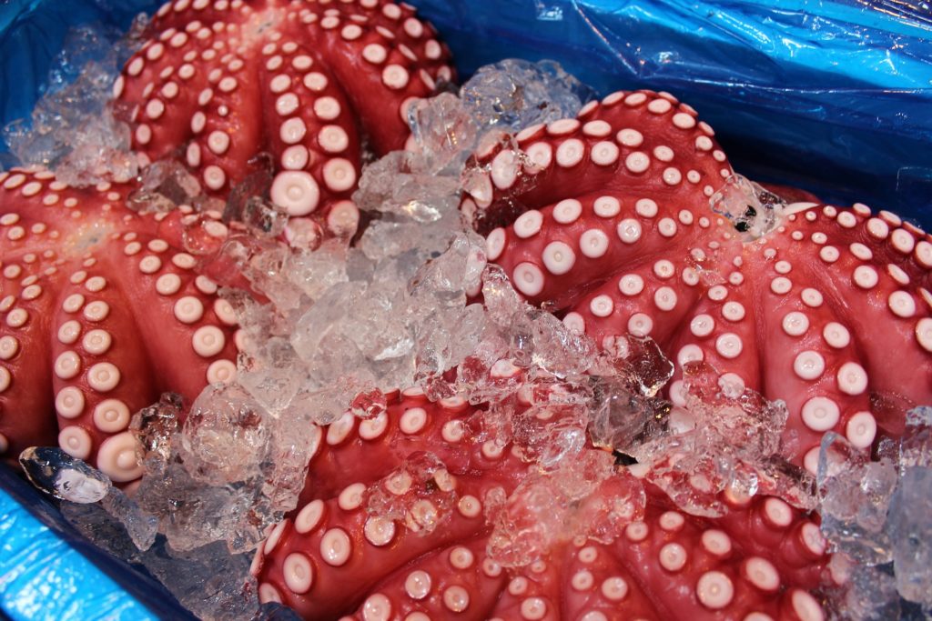 Fresh Octopus at Tsukiji Market in Tokyo 